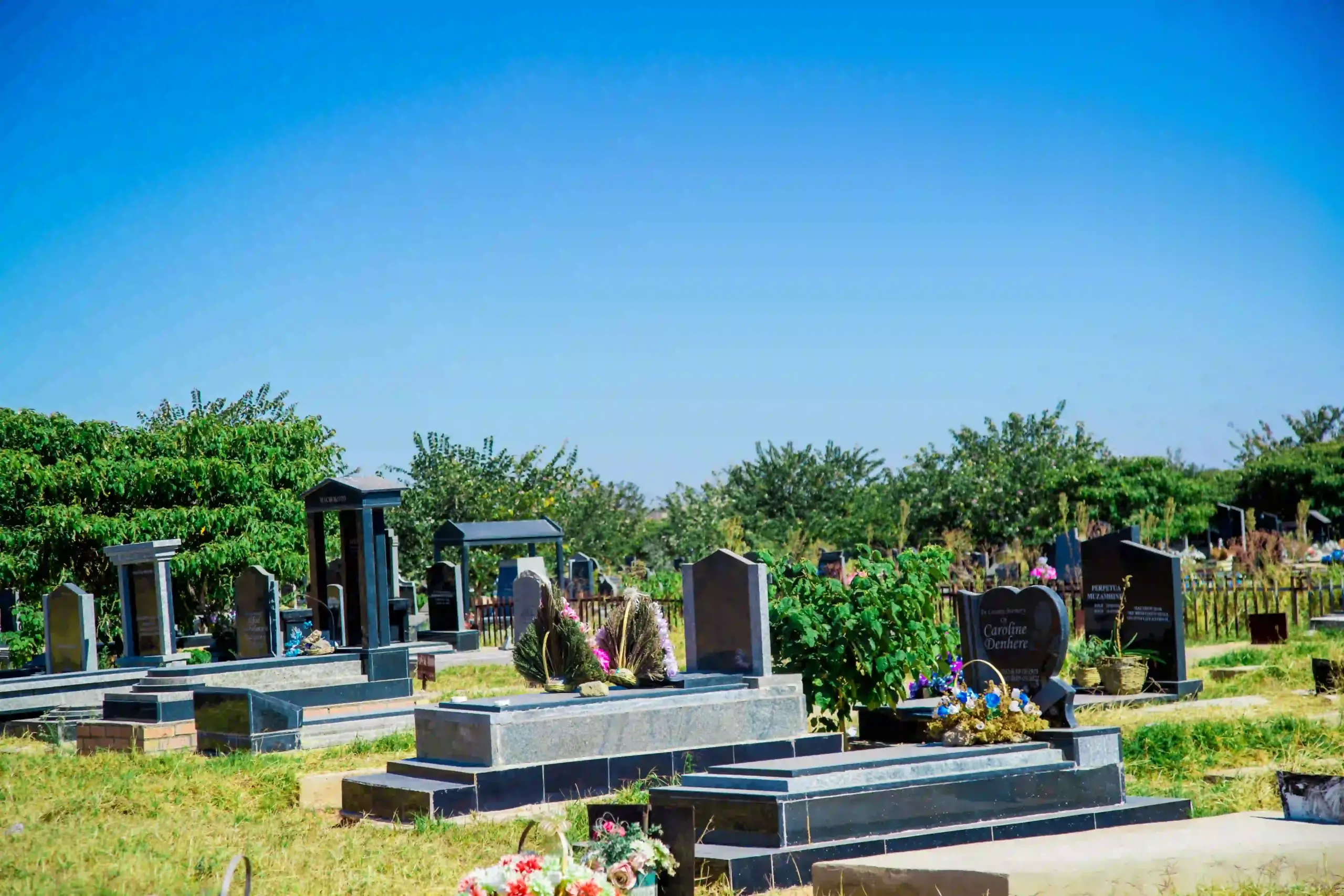 🕊️ Burial Plots & Grave Spaces